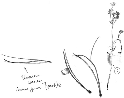 Иллюстрация к книге — Вечный Тук [i_047.jpg]