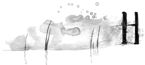 Иллюстрация к книге — Вечный Тук [i_056.jpg]