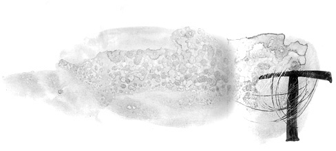 Иллюстрация к книге — Вечный Тук [i_064.jpg]