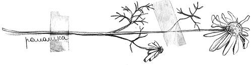 Иллюстрация к книге — Вечный Тук [i_075.jpg]