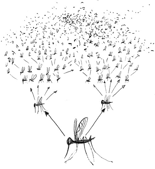 Иллюстрация к книге — Вечный Тук [i_076.jpg]