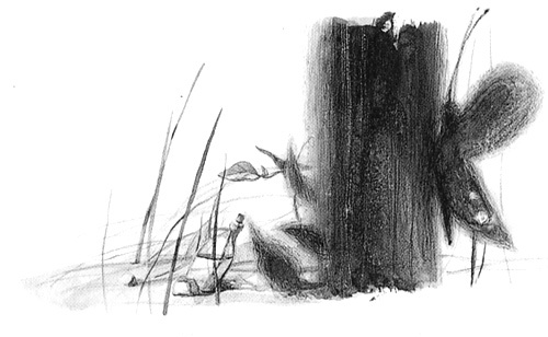 Иллюстрация к книге — Вечный Тук [i_093.jpg]