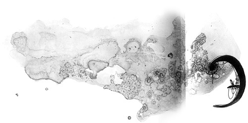 Иллюстрация к книге — Вечный Тук [i_101.jpg]