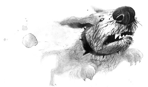 Иллюстрация к книге — Вечный Тук [i_107.jpg]