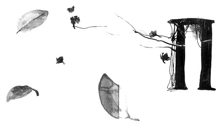 Иллюстрация к книге — Вечный Тук [i_109.jpg]