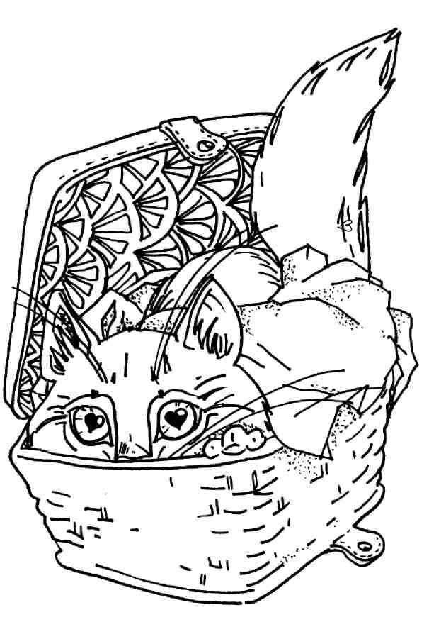 Иллюстрация к книге — Кошки как дети [i_009.jpg]