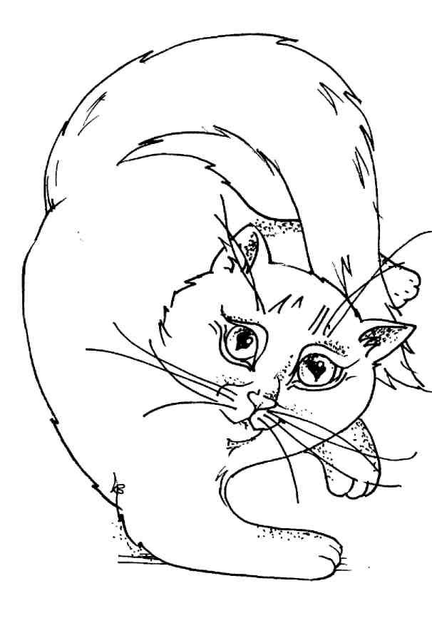 Иллюстрация к книге — Кошки как дети [i_014.jpg]