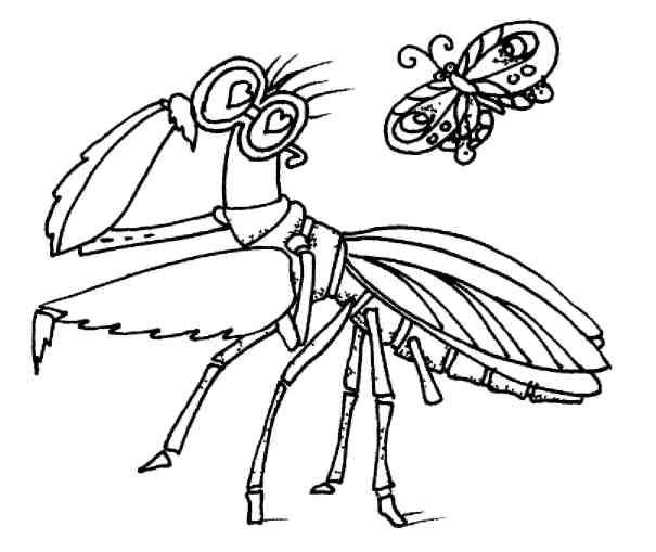 Иллюстрация к книге — Кошки как дети [i_028.jpg]