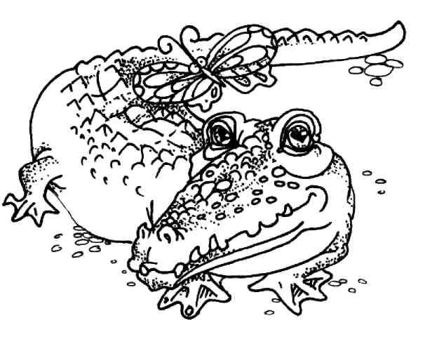 Иллюстрация к книге — Кошки как дети [i_029.jpg]