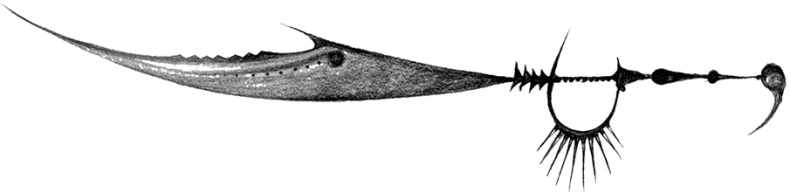 Иллюстрация к книге — Ник Северянин и битва с Королем кошмаров [i_032.jpg]