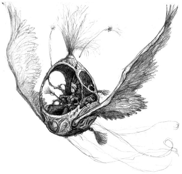 Иллюстрация к книге — Тусиана. История зубной феи [i_015.jpg]