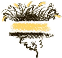 Иллюстрация к книге — Король-Рысь [i_006.jpg]