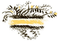 Иллюстрация к книге — Король-Рысь [i_017.jpg]