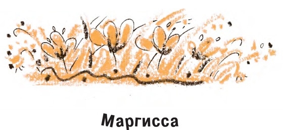 Иллюстрация к книге — Король-Рысь [i_020.jpg]