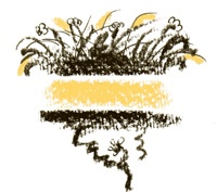 Иллюстрация к книге — Король-Рысь [i_022.jpg]