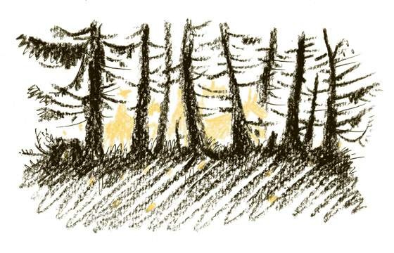 Иллюстрация к книге — Король-Рысь [i_028.jpg]