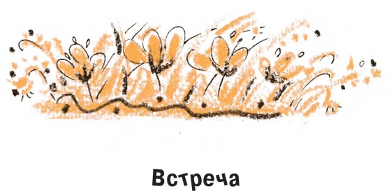 Иллюстрация к книге — Король-Рысь [i_038.jpg]