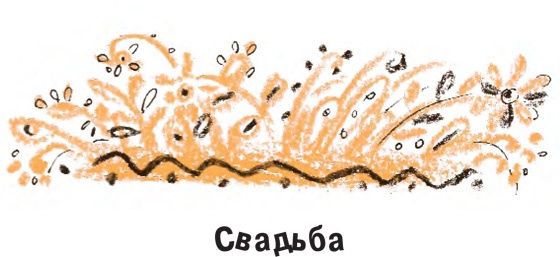 Иллюстрация к книге — Король-Рысь [i_043.jpg]