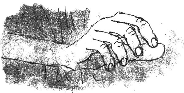 Иллюстрация к книге — БДВ, или Большой и Добрый Великан [i_006.jpg]