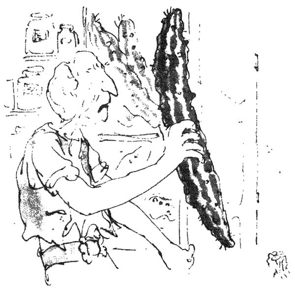 Иллюстрация к книге — БДВ, или Большой и Добрый Великан [i_015.jpg]