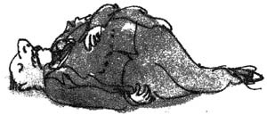 Иллюстрация к книге — БДВ, или Большой и Добрый Великан [i_032.jpg]