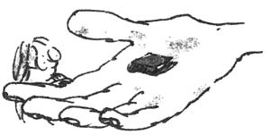 Иллюстрация к книге — БДВ, или Большой и Добрый Великан [i_043.jpg]