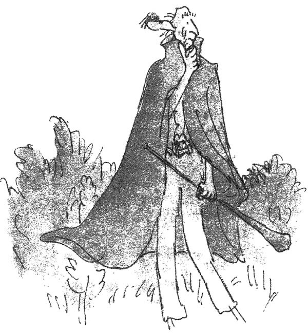 Иллюстрация к книге — БДВ, или Большой и Добрый Великан [i_051.jpg]