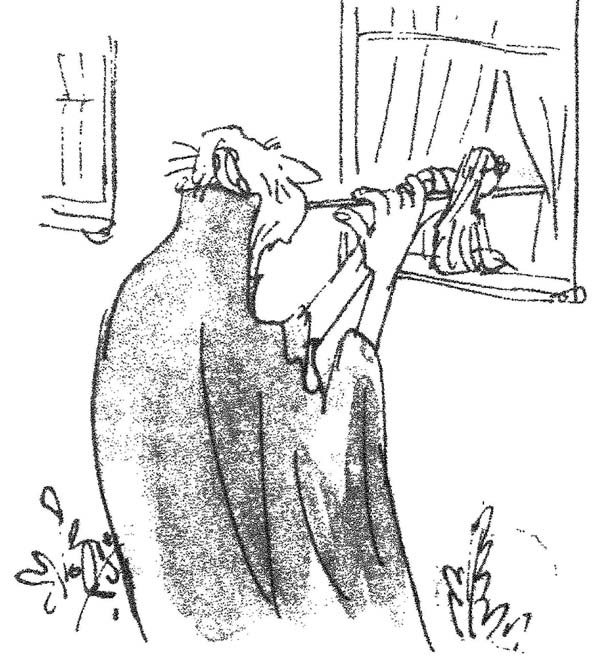 Иллюстрация к книге — БДВ, или Большой и Добрый Великан [i_053.jpg]