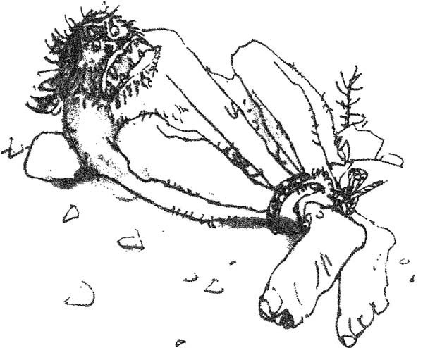 Иллюстрация к книге — БДВ, или Большой и Добрый Великан [i_071.jpg]