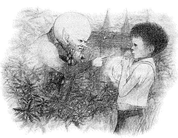 Иллюстрация к книге — Детские бестселлеры [i_005.jpg]