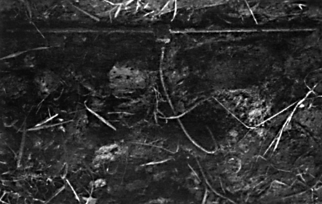 Иллюстрация к книге — Шпионский пасьянс [i_029.jpg]