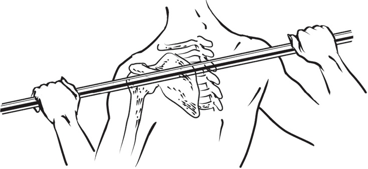 Иллюстрация к книге — Тоньше, Суше, Сильнее. Простая наука о построении женского тела [_32.jpg]