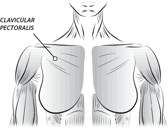 Иллюстрация к книге — Тоньше, Суше, Сильнее. Простая наука о построении женского тела [_40.jpg]