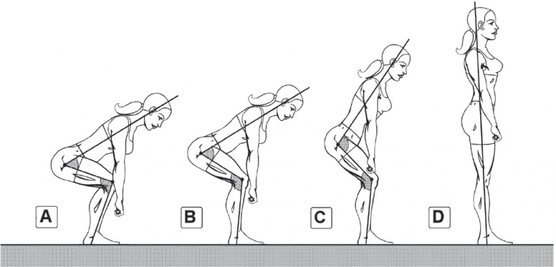 Иллюстрация к книге — Тоньше, Суше, Сильнее. Простая наука о построении женского тела [_42.jpg]