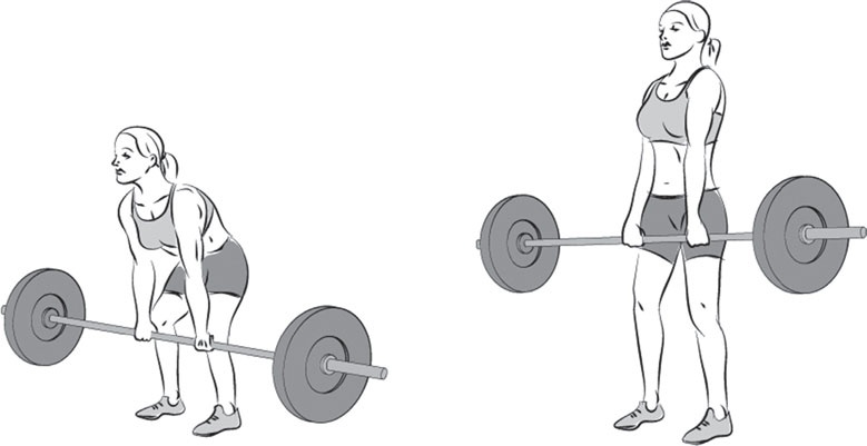 Иллюстрация к книге — Тоньше, Суше, Сильнее. Простая наука о построении женского тела [_45.jpg]