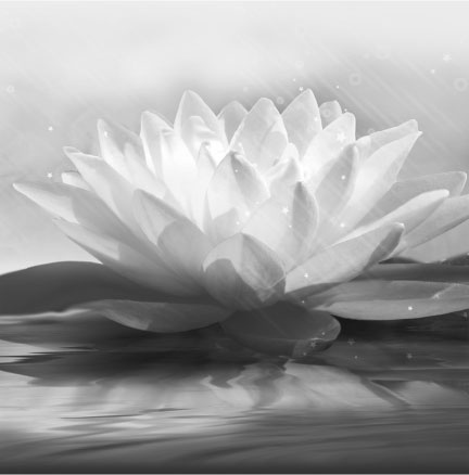 Иллюстрация к книге — Йога: здоровое долголетие, или Как оставаться молодым и бодрым [_1.jpg]