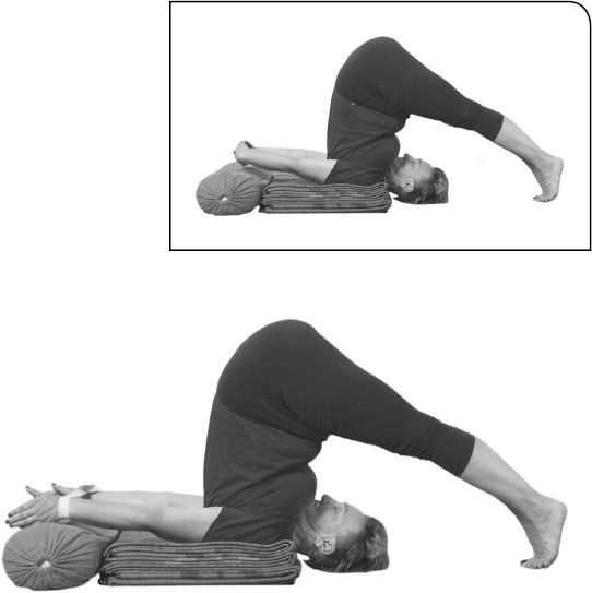 Иллюстрация к книге — Йога: здоровое долголетие, или Как оставаться молодым и бодрым [_102.jpg]