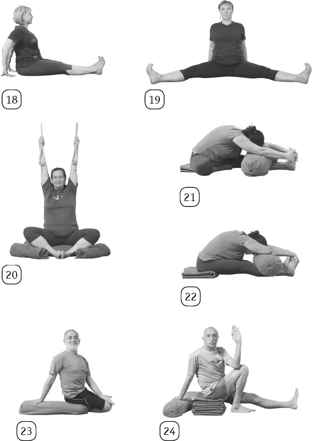 Иллюстрация к книге — Йога: здоровое долголетие, или Как оставаться молодым и бодрым [_120.jpg]