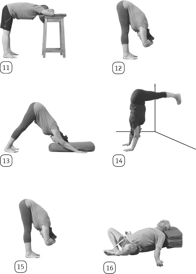 Иллюстрация к книге — Йога: здоровое долголетие, или Как оставаться молодым и бодрым [_124.jpg]