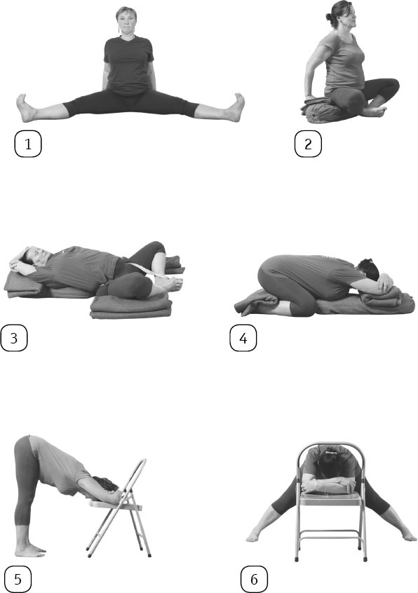 Иллюстрация к книге — Йога: здоровое долголетие, или Как оставаться молодым и бодрым [_130.jpg]