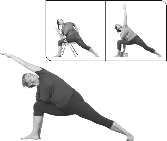 Иллюстрация к книге — Йога: здоровое долголетие, или Как оставаться молодым и бодрым [_14.jpg]