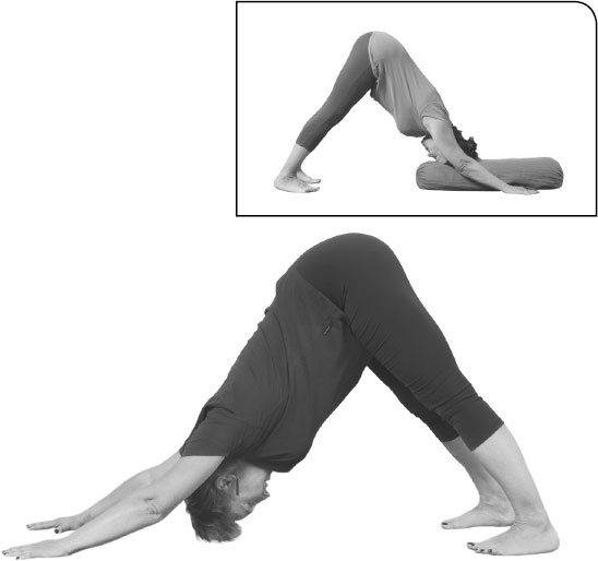 Иллюстрация к книге — Йога: здоровое долголетие, или Как оставаться молодым и бодрым [_22.jpg]