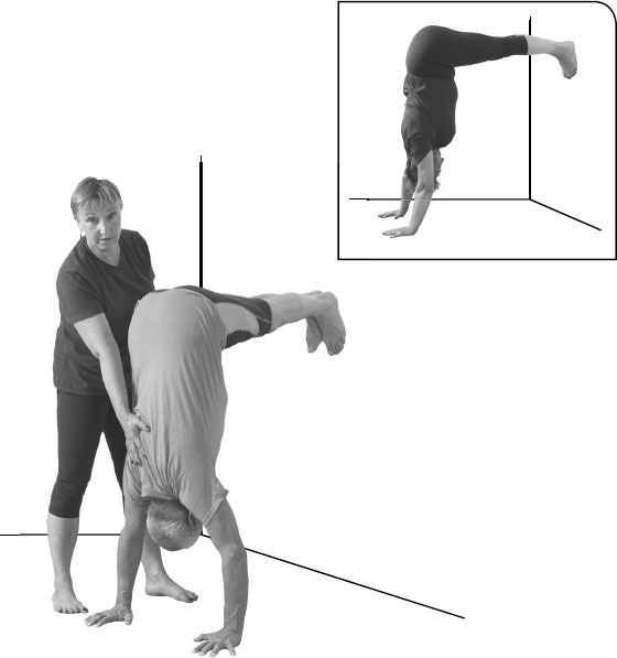 Иллюстрация к книге — Йога: здоровое долголетие, или Как оставаться молодым и бодрым [_91.jpg]