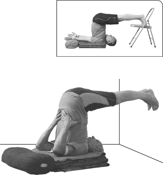 Иллюстрация к книге — Йога: здоровое долголетие, или Как оставаться молодым и бодрым [_98.jpg]