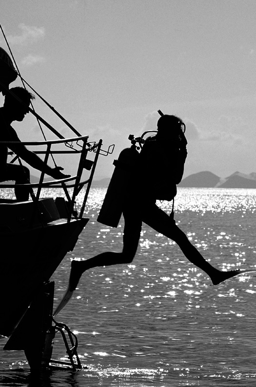 Иллюстрация к книге — На грани возможного. Наука выживания [i_019.jpg]