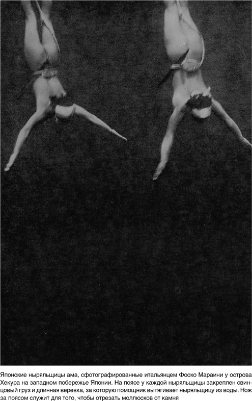 Иллюстрация к книге — На грани возможного. Наука выживания [i_027.jpg]