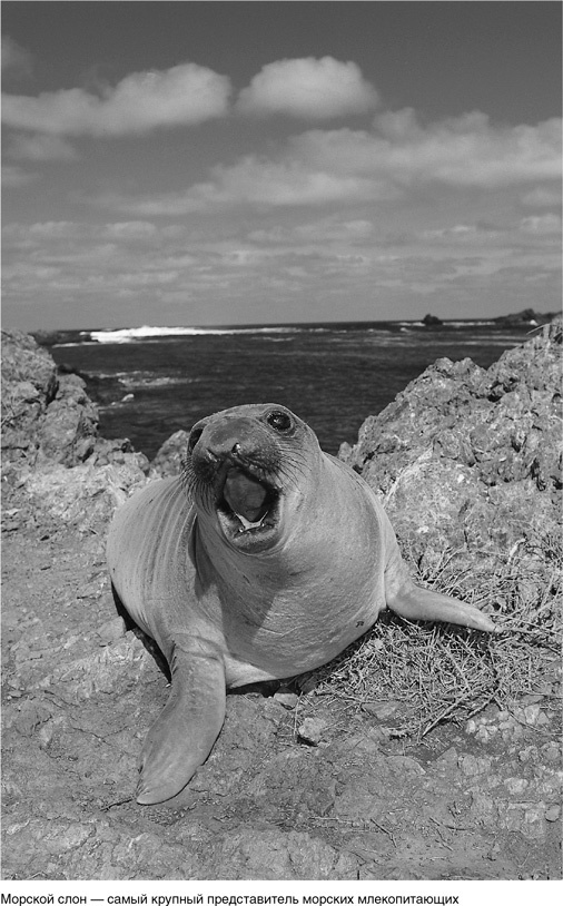 Иллюстрация к книге — На грани возможного. Наука выживания [i_030.jpg]