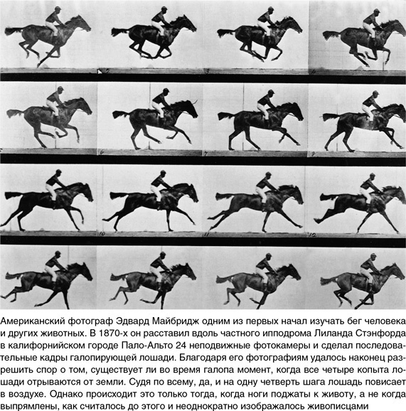 Иллюстрация к книге — На грани возможного. Наука выживания [i_068.jpg]