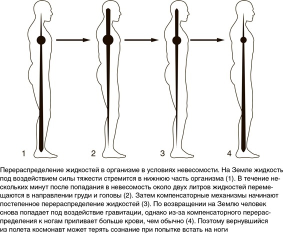 Иллюстрация к книге — На грани возможного. Наука выживания [i_073.jpg]