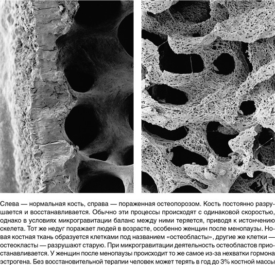 Иллюстрация к книге — На грани возможного. Наука выживания [i_075.jpg]